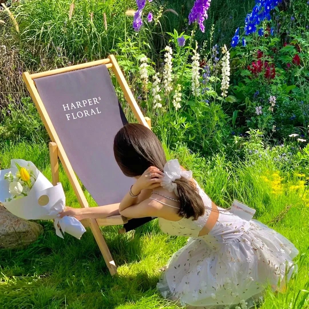 丛林有情狼3:伟大的狼游戏